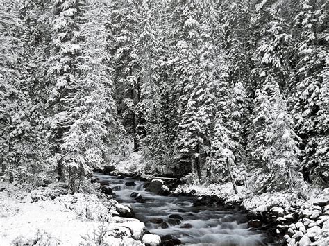 冬 自然 川 木 石 雪 カナダ 流れ 食べた アルバート アルバータ州 バンフ国立公園 高画質の壁紙 Pxfuel