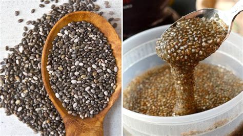 Chia seeds used to be a niche ingredient you could only scout out at health food stores next to the flaxseed, hemp seeds, and spirulina. How 1 Teaspoon Of Chia Seeds Can Help Improve Your Gut ...