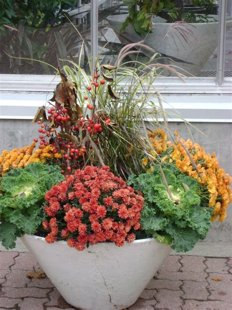 Toronto Botanical Gardens Fall Containers Fall Containers Autumn