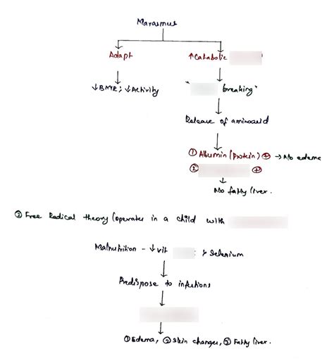 Marasmus Diagram Quizlet