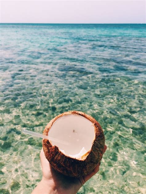 Hawaiianseasides Watch Criminal Minds Coconut Drinks Blue Lagoon Tropical Paradise Oahu