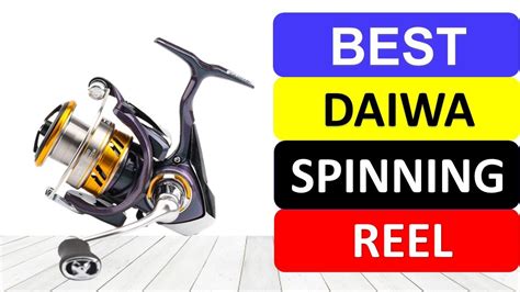 Top 10 Best Daiwa Spinning Reel Review 2022 POBSE