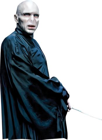 In the very first harry potter movie, lord voldemort is still an enigmatic threat lingering in the background, but when the backstory of daniel. Voldemort | VS Battles Wiki | FANDOM powered by Wikia