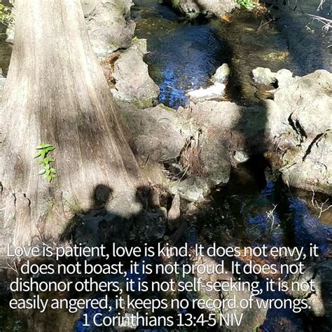 Pin By Antony511 On Messages From God Love Is Patient Angered Movie Posters