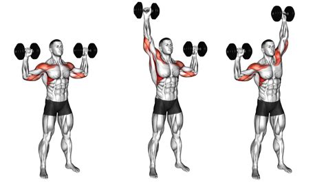 Overhead Dumbbell Press Muscle Worked Benefits Variations