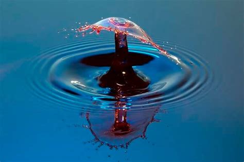 High Speed Photography Captures Art In Drops Of Water