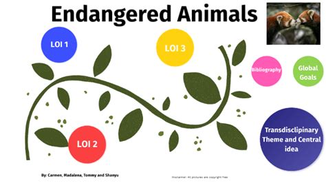 5taa Endangered Animals By Mara Cary