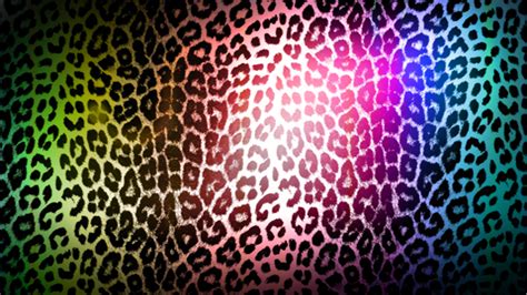 Colorful Leopard Print Wallpapers Hd High Definition Desktop Wallpapers