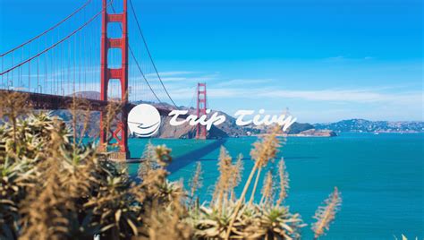 what s the best time to visit san francisco triptivy