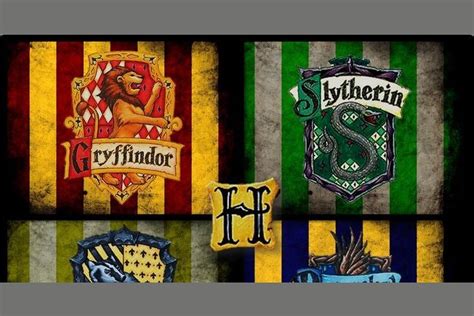 Which Hogwarts House Do You Belong In