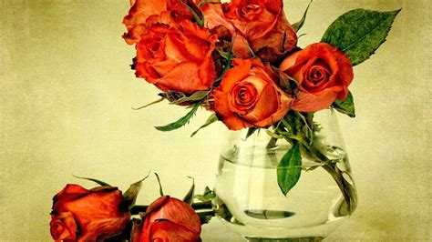 1920x1080 1920x1080 Flowers Leaves Red Vase Water Roses Bouquet