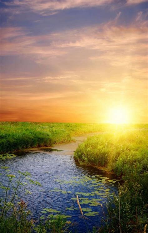 When we talk about nature, we remember. Good morning real beautiful nature day - The Mobile Wallpaper