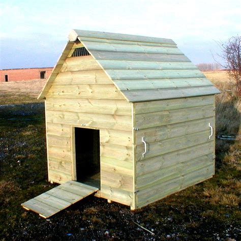 Inspiring a pet duck into every yard. Goose House - I like that whole side comes off for easy ...