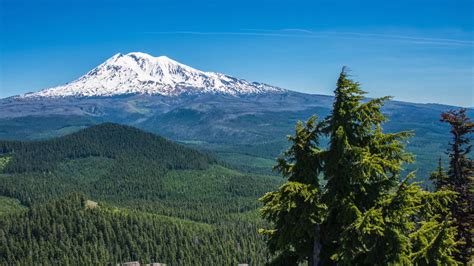 Ford Pinchot National Forest Overview Video On Vimeo