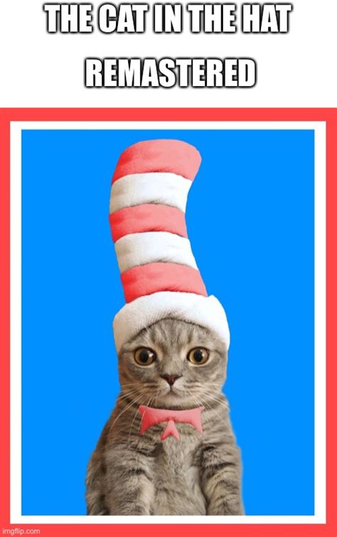 cat in the hat imgflip