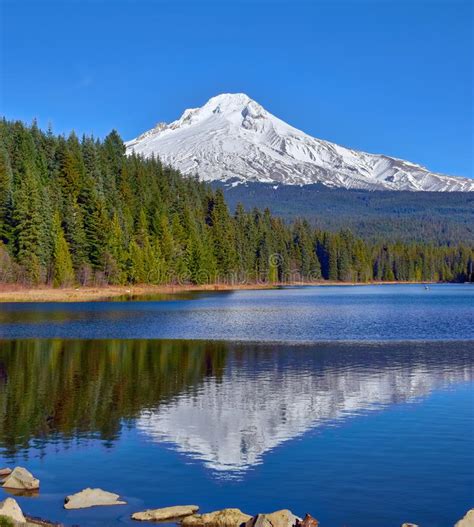 Mt Hood Reflected In Trillium Lake Stock Image Image Of Landscape