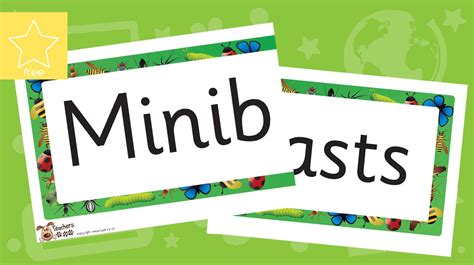 Teacher S Pet Minibeasts Banner