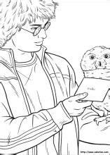 * * * * hedwig, the white owl from harry potter in the cage coloring page. Colorages de Harry Potter sur Coloriez. | Coloriage harry potter, Coloriage, Harry potter