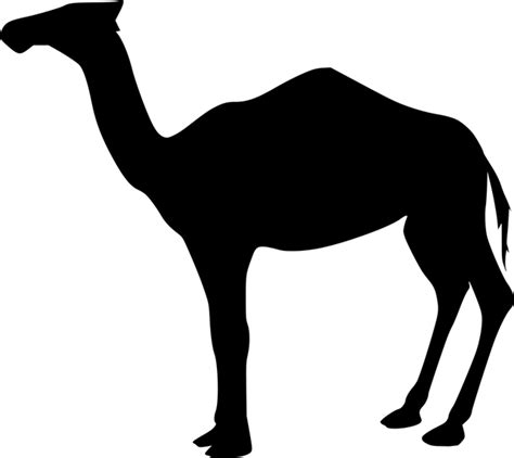 Download Animal Nature Dromedary Royalty Free Vector Graphic Pixabay