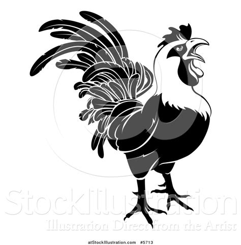 Vector Illustration Of A Black And White Rooster Crowing By