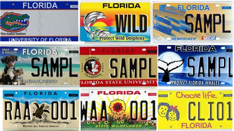 Search Floridas Specialty License Plates Sun Sentinel