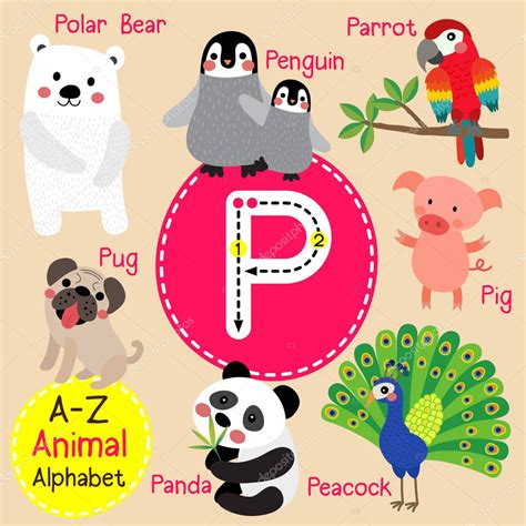 Lindos Niños Zoológico Alfabeto P Carta Trazado De Dibujos Animados De