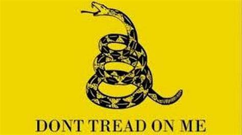 is ‘don t tread on me flag a racial statement miami herald