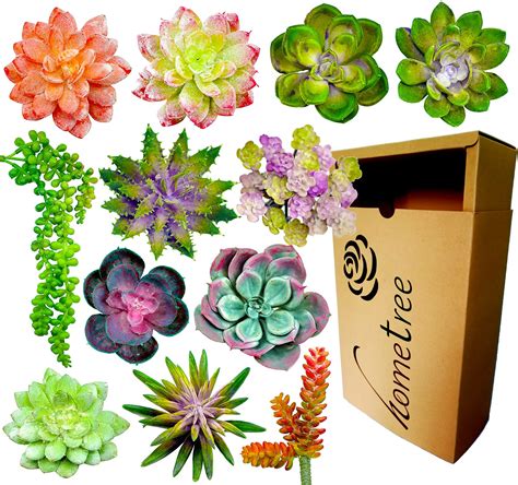 Buy Fake Succulent S Realistic 12 Artificial Succulent S Unpotted Faux Succulents Picks