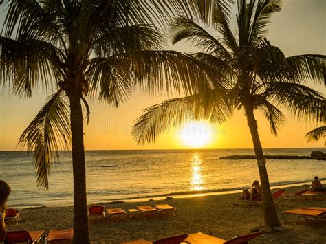 Blue Bay Beach Sunset Palm Tree Stock Photo Image Of