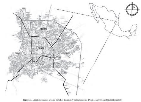 Araneofauna Urbana Arachnida Araneae De Ciudad Victoria Tamaulipas