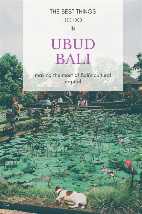 The 16 Best Things To Do In Ubud Bali Travelling Jezebel Ubud Things To Do Ubud Bali Hotels