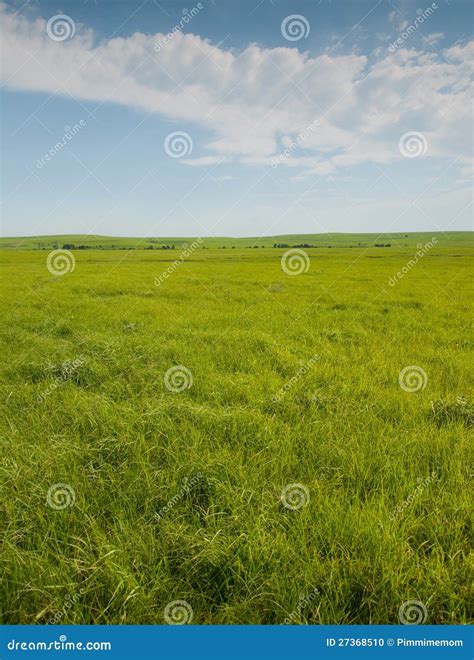 Wide Open Prairie With Lush Green Grass Stock Photo Image Of