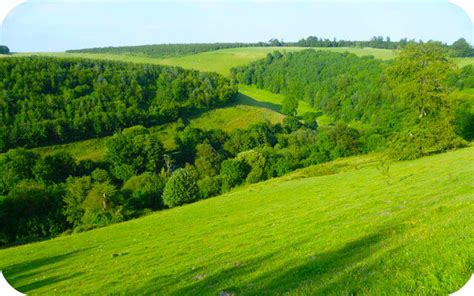 5 Great Walks And Route Maps In The South Downs National Park — Local Walks