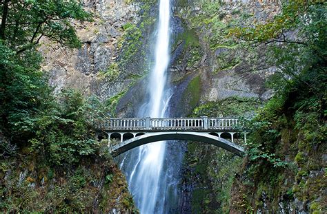 Image Usa Multnomah Waterfalls Crag Nature Bridges Waterfalls Moss