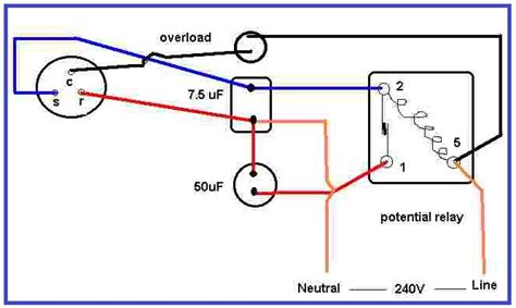 Diagram Refrigerator Compressor Relay Wiring Diagrams Mydiagramonline