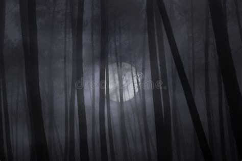 Scary Forest At Night With Full Moon Stock Photo Image Of Moody