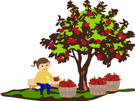 Apple On Tree Clipart Clipart Best Clipart Best