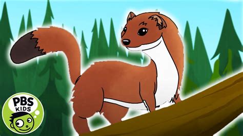 Molly Of Denali Follow That Weasel Pbs Kids Youtube