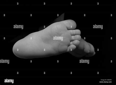 Baby Feet Stock Photo Alamy