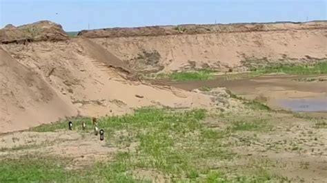 Сельчане получили песчаный карьер вместо пастбища в Акмолинской области ...