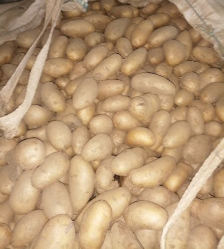 Картофи на едро - АгроБорса | Agri.BG