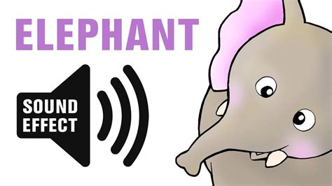Elephant Sound Effect Trumpet Elephant Sound Sound Effects Elephant