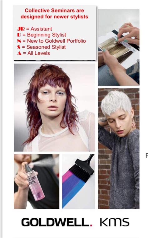 The app will help student easily access the website from the kiosk. Goldwell KMS- Formulation Mastery: Reds - Hair Dojo