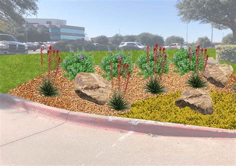 The 12 Best Drought Tolerant Plants For Dallas Texas Commercial