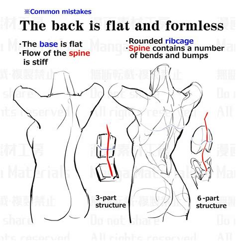 Pin By Softwarrior On Referentes Db Anatomy Reference Female Anatomy Reference Anatomy