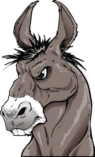 Donkey Stock Illustration Download Image Now Istock