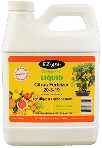 Grow Healthy Citrus Trees With Liquid Fertilizer