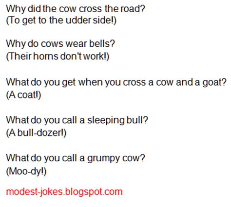 funny questions  answer jokes