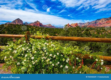 Beautiful Sedona Landscape Stock Image Image Of Canyon 92046029