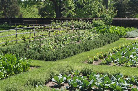 Planning A Vegetable Garden Blooming Oasis